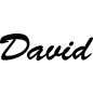 Preview: David - Schriftzug aus Birke-Sperrholz