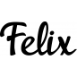 Mobile Preview: Felix - Schriftzug aus Birke-Sperrholz
