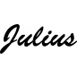 Preview: Julius - Schriftzug aus Birke-Sperrholz
