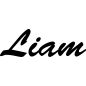 Preview: Liam - Schriftzug aus Birke-Sperrholz