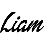 Preview: Liam - Schriftzug aus Birke-Sperrholz