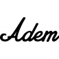 Preview: Adem - Schriftzug aus Buchenholz
