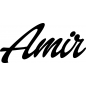 Preview: Amir - Schriftzug aus Buchenholz