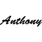 Preview: Anthony - Schriftzug aus Buchenholz