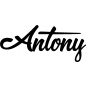 Preview: Antony - Schriftzug aus Buchenholz