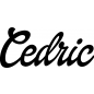 Preview: Cedric - Schriftzug aus Buchenholz
