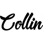 Preview: Collin - Schriftzug aus Buchenholz