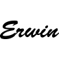 Preview: Erwin - Schriftzug aus Buchenholz