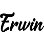 Preview: Erwin - Schriftzug aus Buchenholz