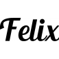 Preview: Felix - Schriftzug aus Buchenholz