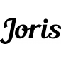 Mobile Preview: Joris - Schriftzug aus Buchenholz