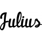 Preview: Julius - Schriftzug aus Buchenholz