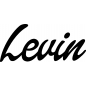 Preview: Levin - Schriftzug aus Buchenholz