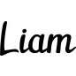 Preview: Liam - Schriftzug aus Buchenholz