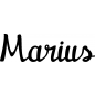 Preview: Marius - Schriftzug aus Buchenholz