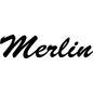 Preview: Merlin - Schriftzug aus Buchenholz