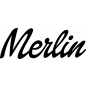 Preview: Merlin - Schriftzug aus Buchenholz