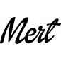 Preview: Mert - Schriftzug aus Buchenholz