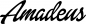 Preview: Amadeus - Schriftzug aus Eichenholz