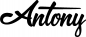 Preview: Antony - Schriftzug aus Eichenholz