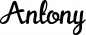 Preview: Antony - Schriftzug aus Eichenholz