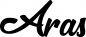 Preview: Aras - Schriftzug aus Eichenholz