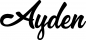 Preview: Ayden - Schriftzug aus Eichenholz