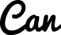 Preview: Can - Schriftzug aus Eichenholz