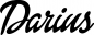 Preview: Darius - Schriftzug aus Eichenholz