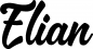 Preview: Elian - Schriftzug aus Eichenholz