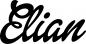 Preview: Elian - Schriftzug aus Eichenholz