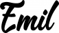 Preview: Emil - Schriftzug aus Eichenholz
