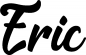 Preview: Eric - Schriftzug aus Eichenholz