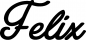 Preview: Felix - Schriftzug aus Eichenholz