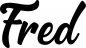 Preview: Fred - Schriftzug aus Eichenholz
