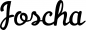 Preview: Joscha - Schriftzug aus Eichenholz