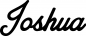 Preview: Joshua - Schriftzug aus Eichenholz