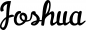 Preview: Joshua - Schriftzug aus Eichenholz