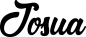 Preview: Josua - Schriftzug aus Eichenholz