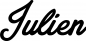 Preview: Julien - Schriftzug aus Eichenholz