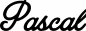 Preview: Pascal - Schriftzug aus Eichenholz