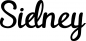 Preview: Sidney - Schriftzug aus Eichenholz