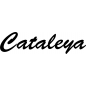 Mobile Preview: Cataleya - Schriftzug aus Birke-Sperrholz