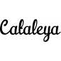 Mobile Preview: Cataleya - Schriftzug aus Birke-Sperrholz