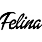 Preview: Felina - Schriftzug aus Birke-Sperrholz