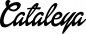 Preview: Cataleya - Schriftzug aus Eichenholz