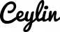 Preview: Ceylin - Schriftzug aus Eichenholz