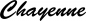 Preview: Chayenne - Schriftzug aus Eichenholz