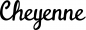 Preview: Cheyenne - Schriftzug aus Eichenholz