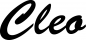 Preview: Cleo - Schriftzug aus Eichenholz